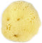 Natural Sponges Hermit Crab Natural SEA Sponge SPONGES - for Cage & Water Dish