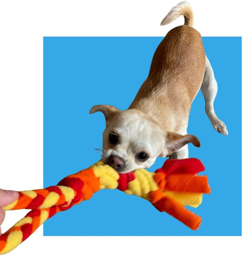 3-in-1 Chelsy's Toys Enrichment Tube for Puppies - Tug Toy, Treat Dispenser & Snuffle Ball | Tug of War | Interactive