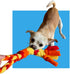 3-in-1 Chelsy's Toys Enrichment Tube for Puppies - Tug Toy, Treat Dispenser & Snuffle Ball | Tug of War | Interactive