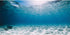 AWERT 30x12 inches Vinyl Tropical Ocean Floor Aquarium Background