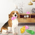 Dog Chew Rope Toy 2Pack, Funny Decoy Toy, Natural Cotton Rope Slipper Interactive Pet Chewing Toys
