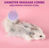3PC Chinchilla Small Animal Bath Brush with Lid Soft Cleansing Brush Massage Combs for Hedgehog Guinea Pig Rabbit