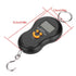 Portable LCD Display Digital Fishing Hanging Scale, Electric Weighing Scale for Home and Fishing
