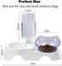 Elevated Cat Food Water Bowls with 15° Tilted Raised Stand, Double Dog Cat Bowls Anti Vomiting, Automatic Water