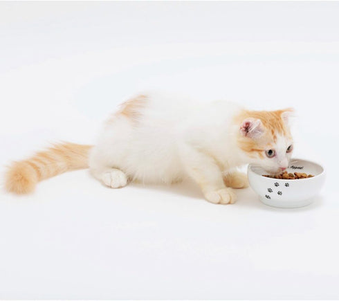Necoichi Ceramic Cat Bowls for Indoor Cats, Whisker Friendly, Anti-Spill Feeding, Cute Cat Dishes