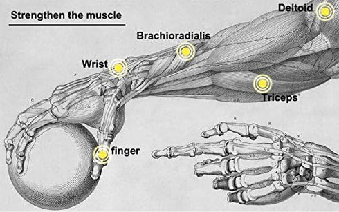 Power Wrist Ball AUTO Start Gyro Ball - LED Lights Forearm Exerciser for Strengthening Muscle and Bones