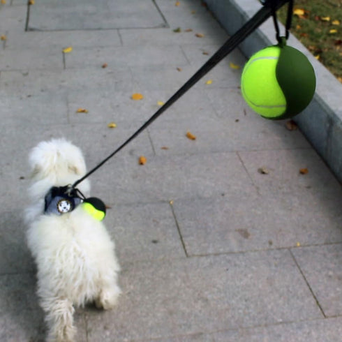 Dog Accessory Ball Holder - Lightweight Silicone Leash Attachment for Convenient Fun Playtime (Pink)