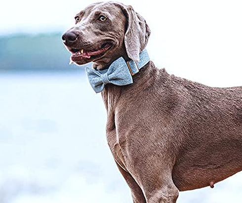DOGWONG Hemp Cotton Dog Collar - Blue Adjustable Pet Collar with Bow for Medium Dogs