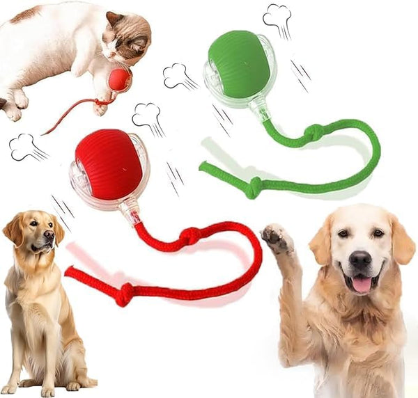 AUTRETY 2 Packs New Electric Dog Ball Toy for Cat,360 Smart Automatic Interactive