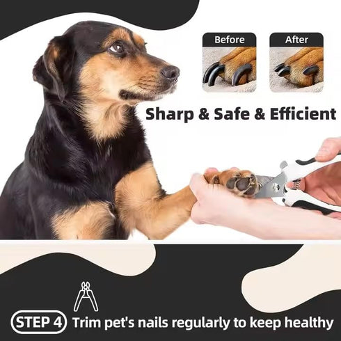 PetRivia 6-in-1 Dog Grooming Kit for Dogs at Home, Pet Grooming Kit with Slicker Brush, Dematting Tool, Stainless Steel