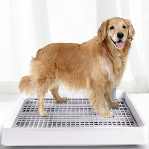 TOYANDONA Dog Potty Toilet Training Tray Splashproof Plastic Dog Urine Potty Tray