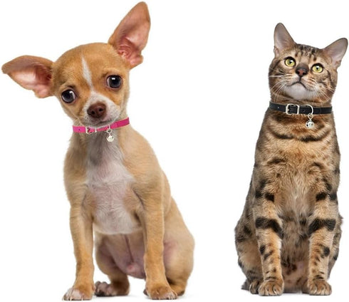 XXS Dog Collar with Bell, Synthetic Leather Basic Cat Collar with Bells for XXS, XS, Small, Medium Pets (Green XXSmall)