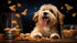 Premium Chicken Breast Jerky for Dogs, Single Ingredient Treat, Infused with Turmeric, 16 Ounces