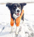 Slip Collar, Dog Choker Collar, Nylon Training Collar with Slidable Stopper for Small Medium Large Dogs