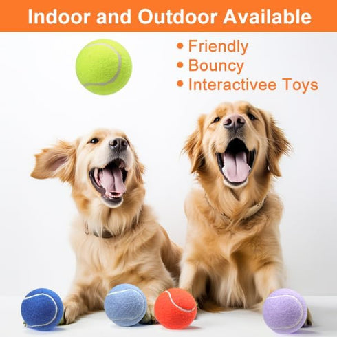 Pet Dog Playing Balls, 6 Pack Advanced Training Tennis Balls for Dogs, Good for Beginner Training, Polychrome Canned
