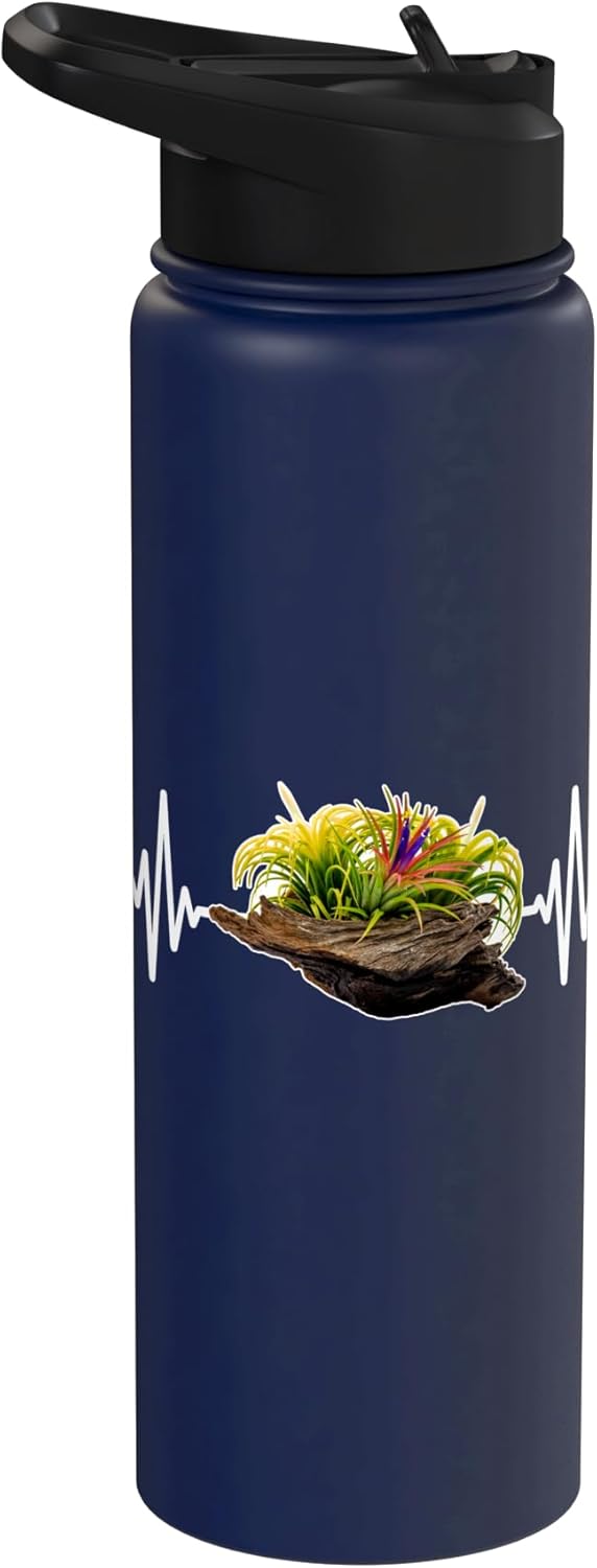 Tillandsia Tillandsie Tilanzienpflanze Bromelien Tillandsia Air Plants Terrarium Plants Tillandsia Stainless Steel Insulated Water Bottle