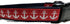 Nautical Dog Collar by Caninedesign, Quick Release Buckle, 1 inch Wide, Adjustable Nylon for Medium and Large Dogs (Red