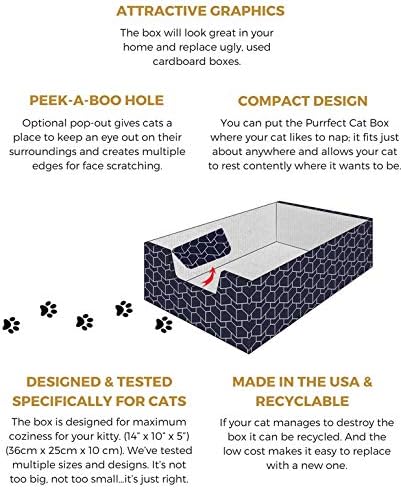 Modern Cat Box Lounger with Peek-a-Boo Cutout, Premium Corrugated Cardboard Bed for Kittens and Small Pets, Blue