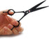 7.0 Inches Professional Pet Cat Dog Grooming Shears Scissors Kit - Straight, Curved, Thinning/Blending/Chunking