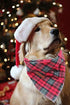 Elegant Little Tail Christmas Bandana 1PCS Plaid Pet Bandana Washable Reversible Cotton for Small to Large Dogs
