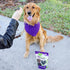 14 oz, 1 Pack Every Day Naturals Dog Dental Chew, No Brush Toothpaste for Large Breeds, Freshens Breath, Unique Texture