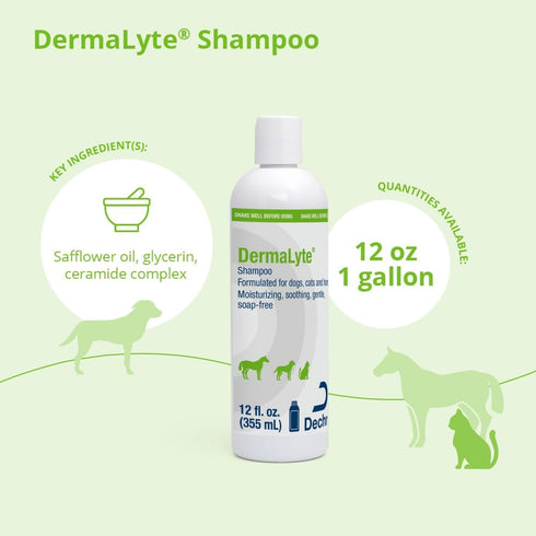 DermaLyte 12 Shampoo, Ounce