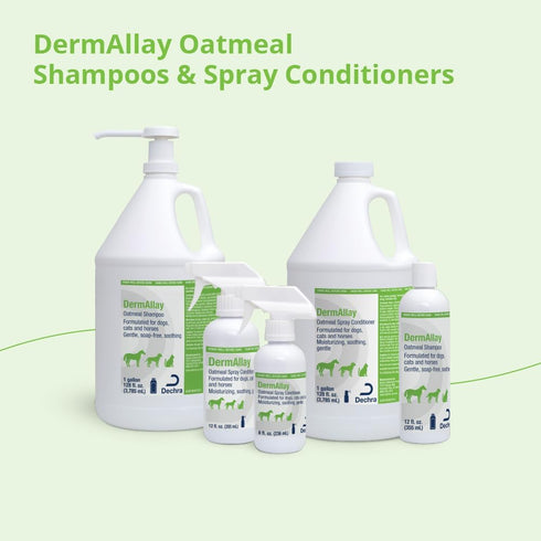 DermAllay 12 Oatmeal Shampoo, Ounce