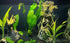 Fish Tank Tree Trunk Decorations, Lifelike Hollow Wood Ornament for Fish to Swim Through
