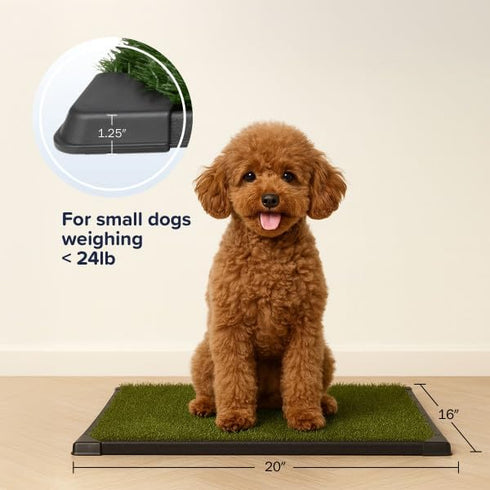 16x20 inch Artificial Grass Puppy Pad with Tray | Reusable Indoor & Outdoor Dog Potty Training Mat System | Washable