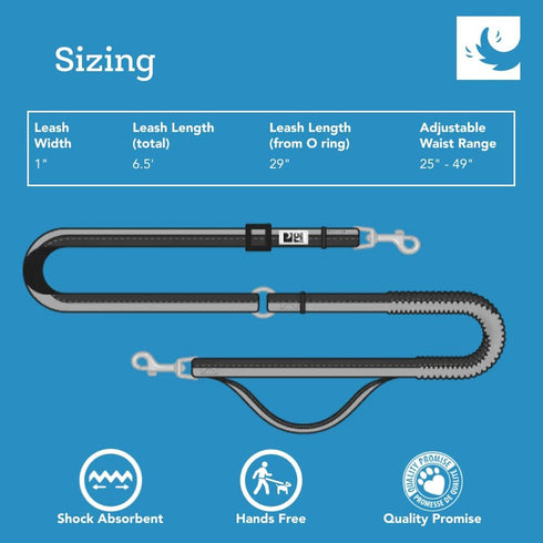 RC Pets Bungee Active Dog Leash, Hands-free 4-in-1 Dog Leash, Arctic Blue/Teal