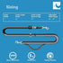 RC Pets Bungee Active Dog Leash, Hands-free 4-in-1 Dog Leash, Arctic Blue/Teal