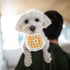 4PCS WEBEEDY Cute Dog Lace Bandana Puppy Cat Flower Scarfs Washable Daily Handkerchief Semicircle Scarf Bibs Saliva