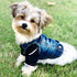 MISSPET Cute Soft Blue Jeans Denim Coat Jacket for Small Medium Dog Puppy Apparel Hoodies Clothes