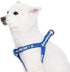Blueberry Pet Essentials Step-in Reflective Dog Harness, Navy Blue, Small, Adjustable for Chest Girth 16.5" - 21.5"