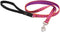LupinePet Originals 1/2" Alpen Glow 4-foot Padded Handle Leash for Small Pets
