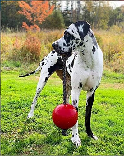Jolly Pets Romp-n-Roll Dog Toy, 8 Inches/Large, Rope and Ball, Red (608 RD)