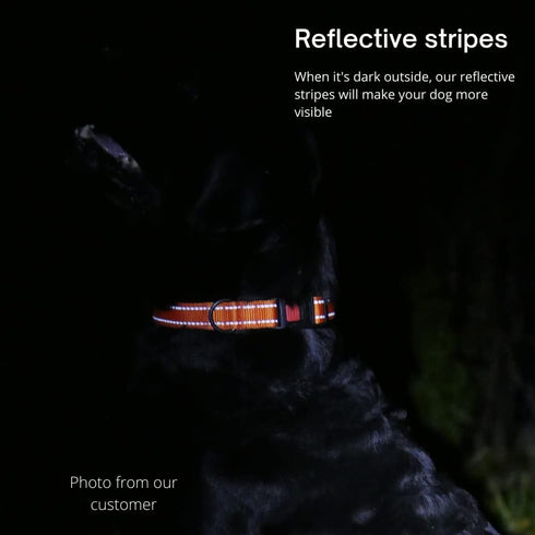 CollarDirect Reflective Dog Collar for Small, Medium, Large Dogs, Quick Release Buckle, Pink