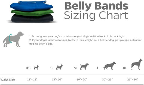 Pet Parents Washable Belly Bands for Dogs (3 Pack) + Durable Extendrs Dog Diapers & Wraps (X-Small, Gentlemen)