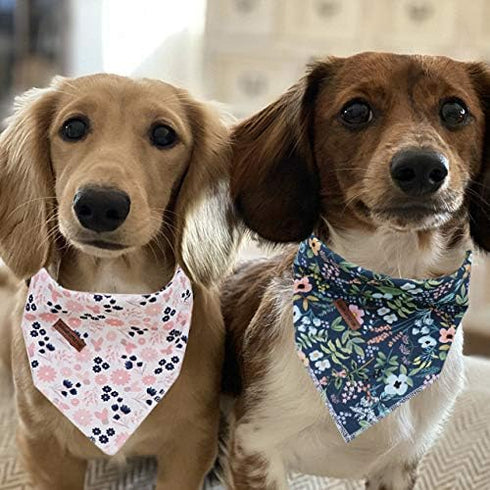 Elegant Little Tail Bandana for Small Medium Large Dogs, Comfortable Adjustable Bibs Scarf