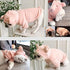 Dog Sweater - Pet Pig Pattern Sweatshirt for Small Dogs Cats, Puppy Hoodie Jacket for Spring, Winter & Autumn