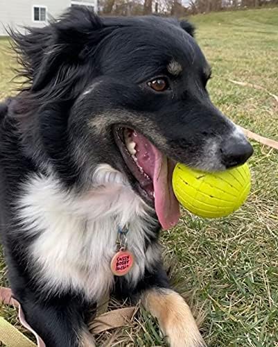 Chew King Supreme Rubber Fetch Balls, Extremely Durable Natural Rubber Toy, 2.5 inch, Yellow (CM-10066-CS01)