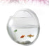 Alipis Round Glass Vase, Wall Mounted Acrylic Fish Bowl, Clear Glass Vases for Betta Fish Tank or Terrarium