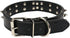 Spiked Leather Dog Collar - 2 Rows Bullet Rivets Studded PU Leather, Cool Skull Pet Accessories for Medium and Large