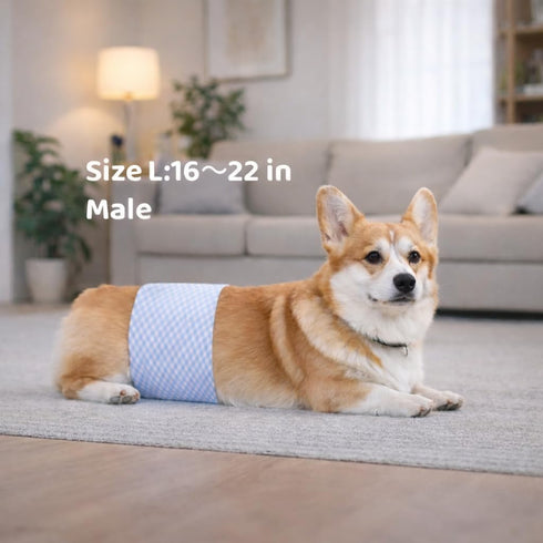 Pappiora 1622 in,10 Count Male Dog Diaper Disposable Wraps for Waist Leakproof, Super Absorbent, Adjustable Fit