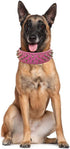 Spiked Studded Dog Collar - PU Leather Adjustable Pet Collar for Medium or Large Breed Dogs (M, Camouflage)