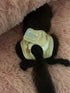 WCDJOMOP (3.9" 6.3"), 3 Reusable Washable Squirrel Diapers, Highly Absorbent with Strong & Flexible Pants No Leak