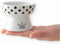 Necoichi Raised Stress Free Cat Food Bowl, Elevated, Dishwasher and Microwave Safe, Cat Dots, Mini