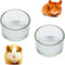 2 Pcs Hamster Food and Water Bowl, Glass Anti-Turning Transparent Dish for Small Pets