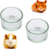 2 Pcs Hamster Food and Water Bowl, Glass Anti-Turning Transparent Dish for Small Pets