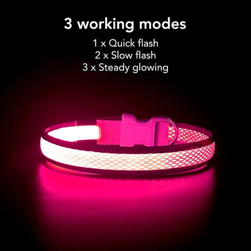 YFbrite Light Up Dog Collar, USB Rechargeable LED Puppy Collar, Adjustable Glowing Lights for Night Walking